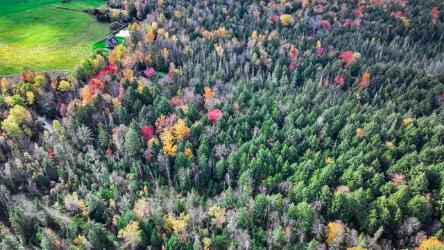 $59,000 | 1021 Woods Road, Warren, VT 05674