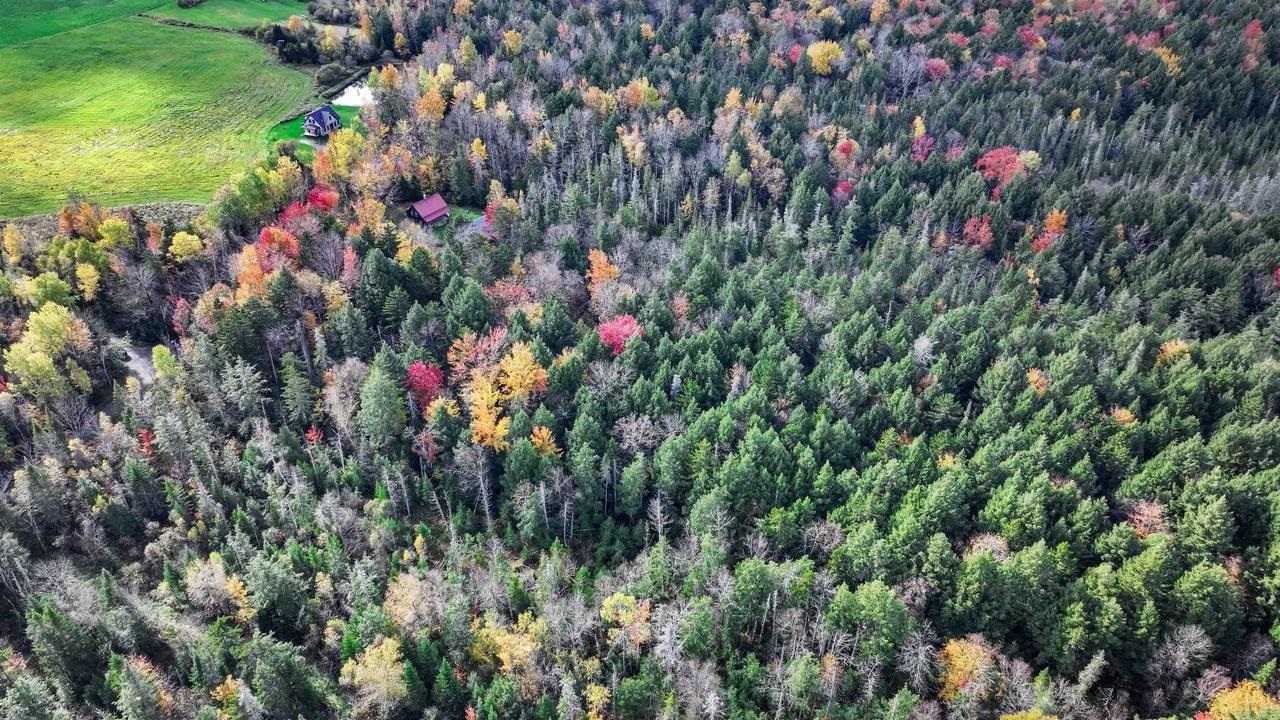 1021 Woods Road Warren, VT 05674 - Photo 2 of 21