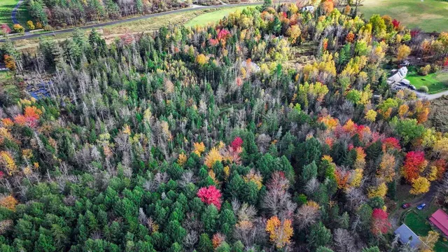 $59,000 | 1021 Woods Road, Warren, VT 05674