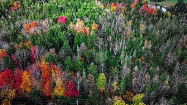 $59,000 | 1021 Woods Road, Warren, VT 05674