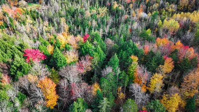 $59,000 | 1021 Woods Road, Warren, VT 05674