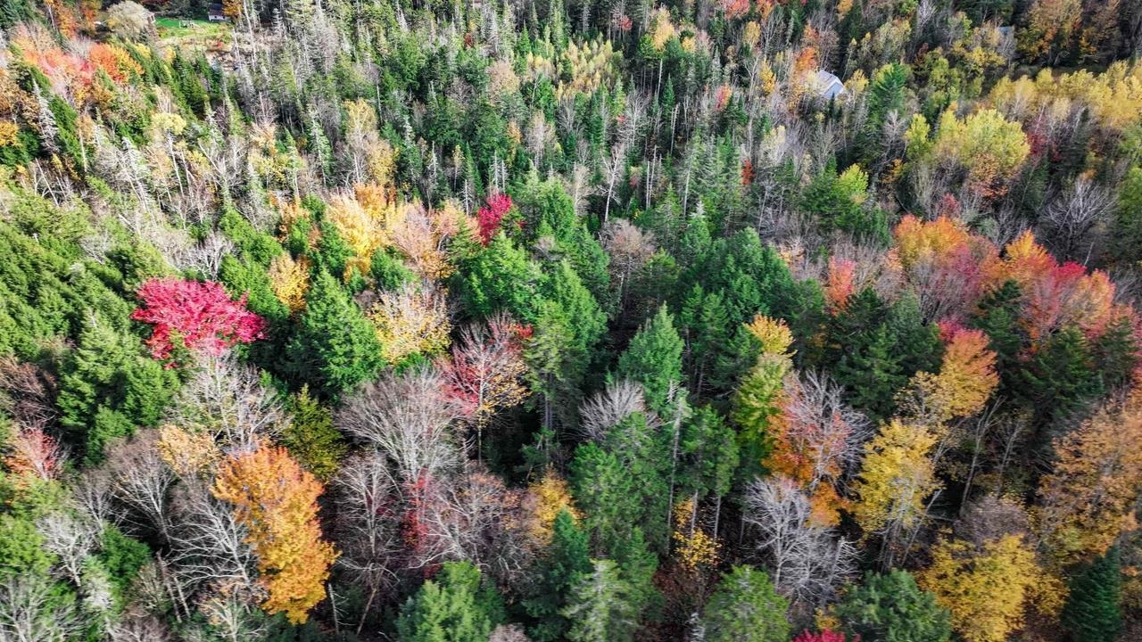 1021 Woods Road Warren, VT 05674 - Photo 6 of 21