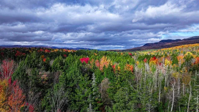 $59,000 | 1021 Woods Road, Warren, VT 05674