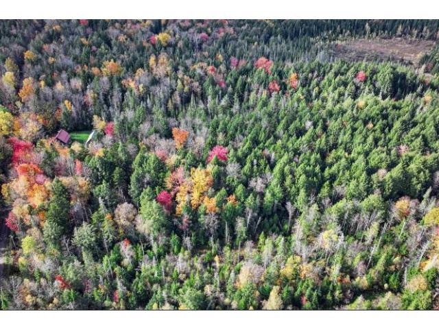 1021 Woods Road Warren, VT 05674 - Photo 8 of 21