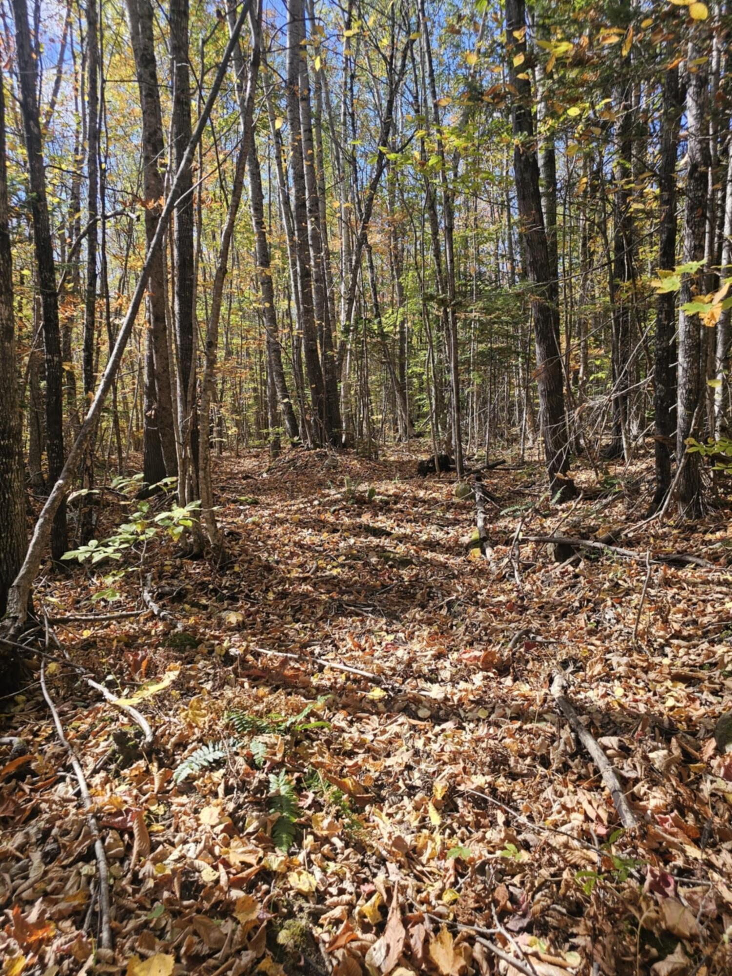 5 Map Road Phillips, ME 04966 - Photo 4 of 13