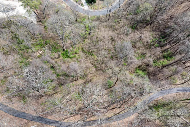 a view of a dry yard with green space