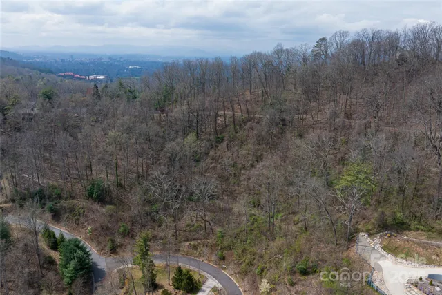 a view of a yard with trees and bushes