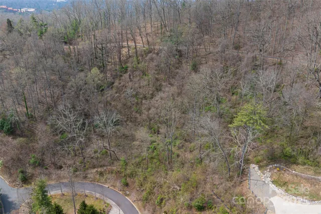 a view of a lush green hillside and a houses