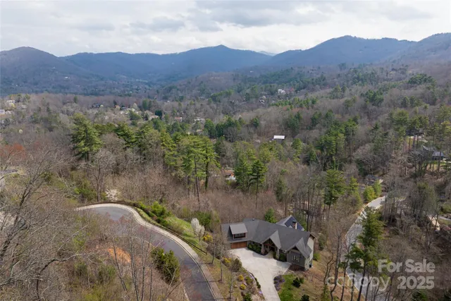 an aerial view of houses covered in trees