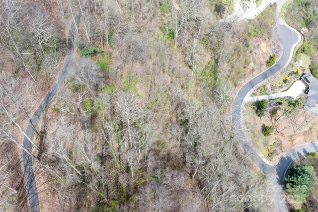 a close up of a plant in a garden