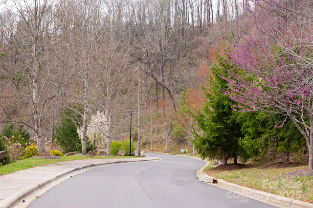 a view of a street with a tree