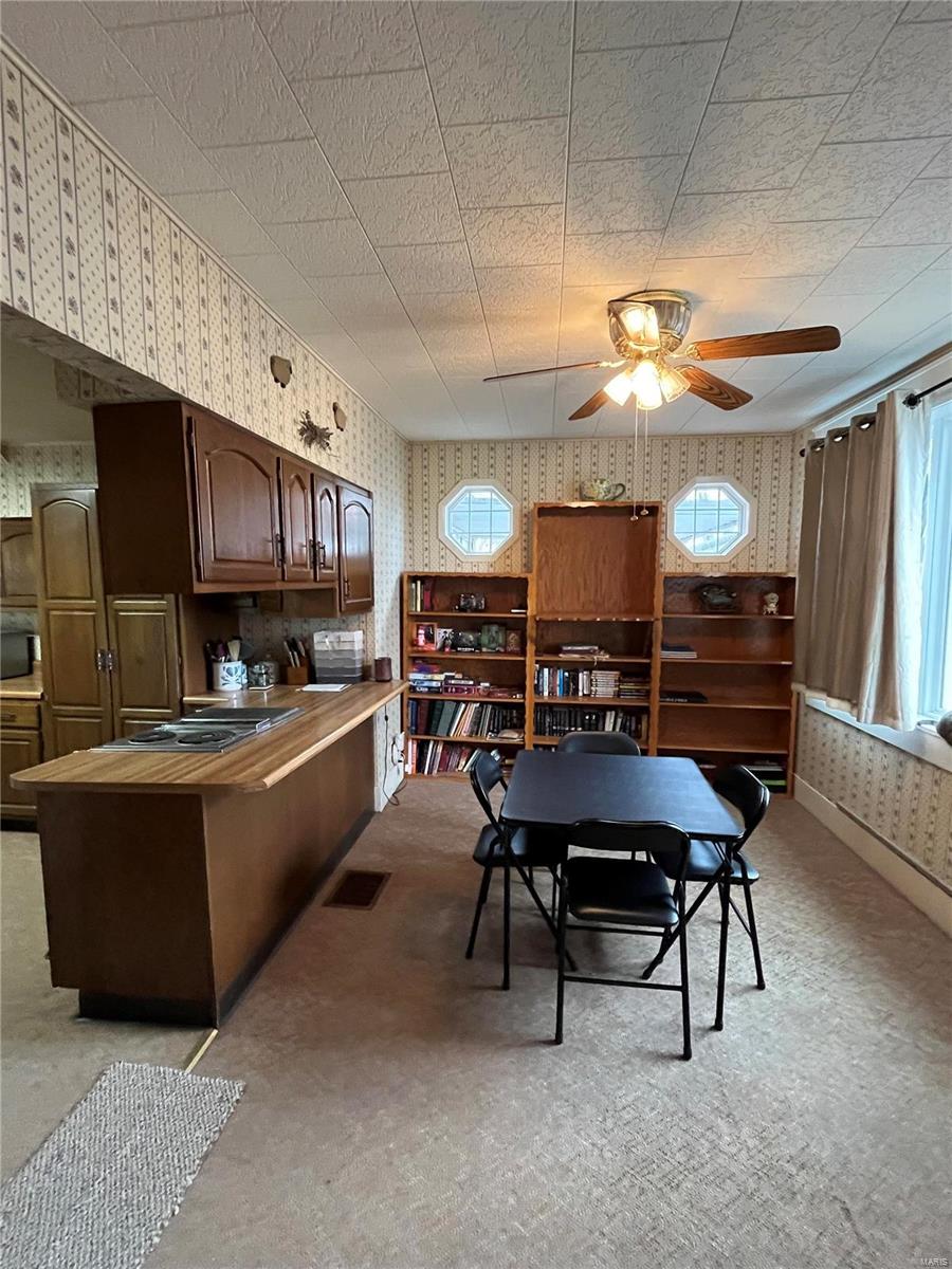 216 South Mine Street Sandoval, IL 62882 - Photo 4 of 13