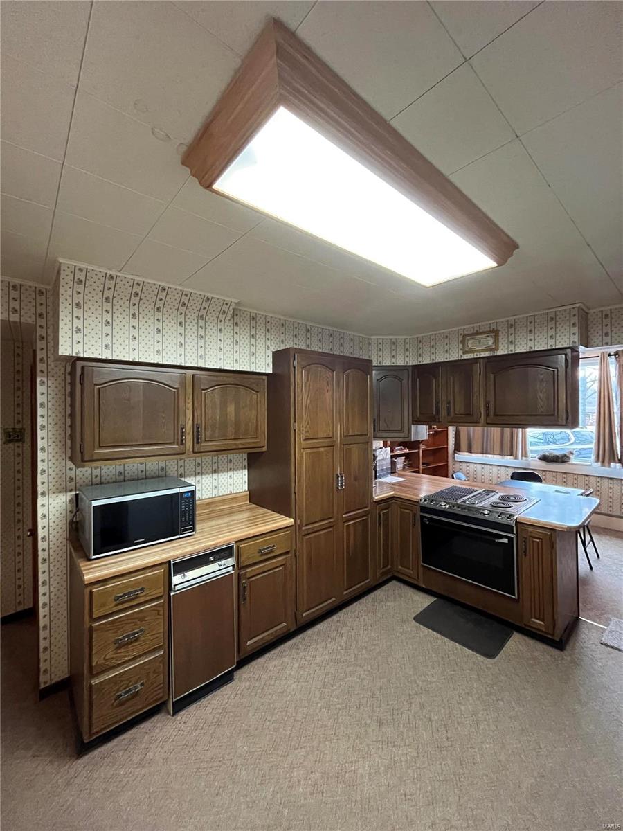 216 South Mine Street Sandoval, IL 62882 - Photo 5 of 13