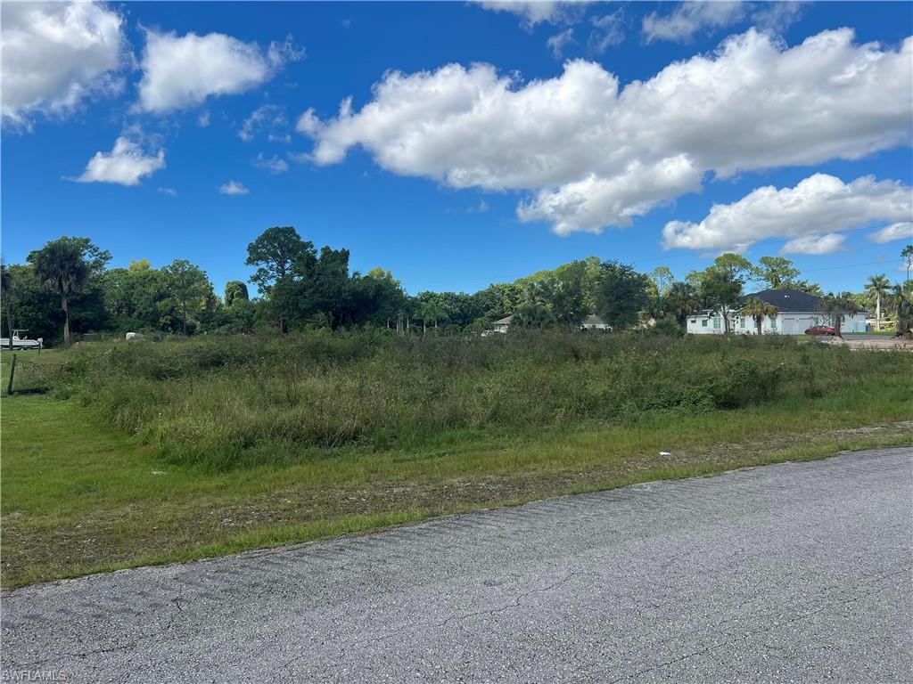 63rd Street Southwest Naples, FL 34105 - Photo 2 of 10 a view of a big yard with plants and large trees