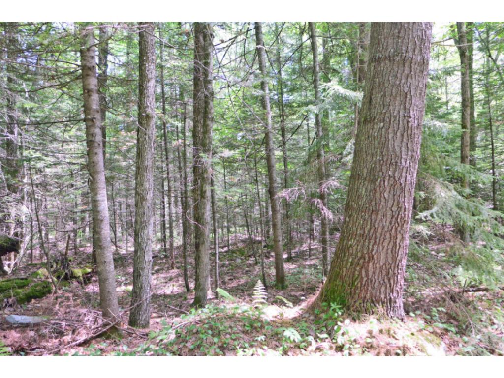 300 Hi Goodwin Road Groton, VT 05046 - Photo 21 of 29 Gallery Image 21