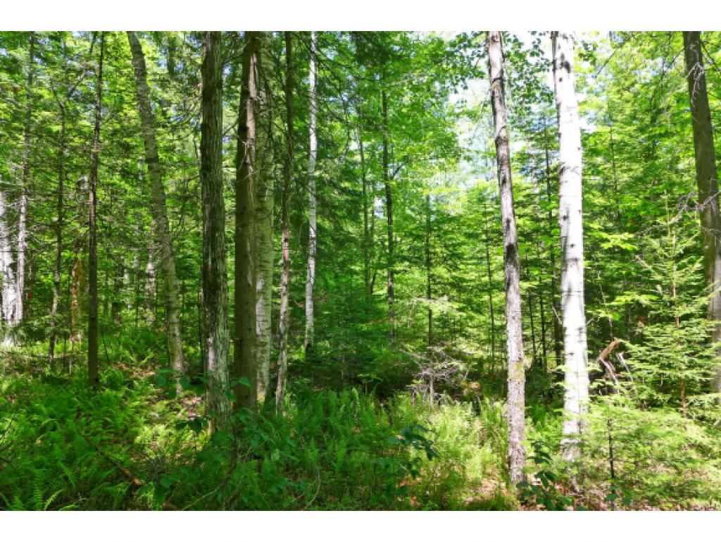 300 Hi Goodwin Road Groton, VT 05046 - Photo 22 of 29 Gallery Image 22