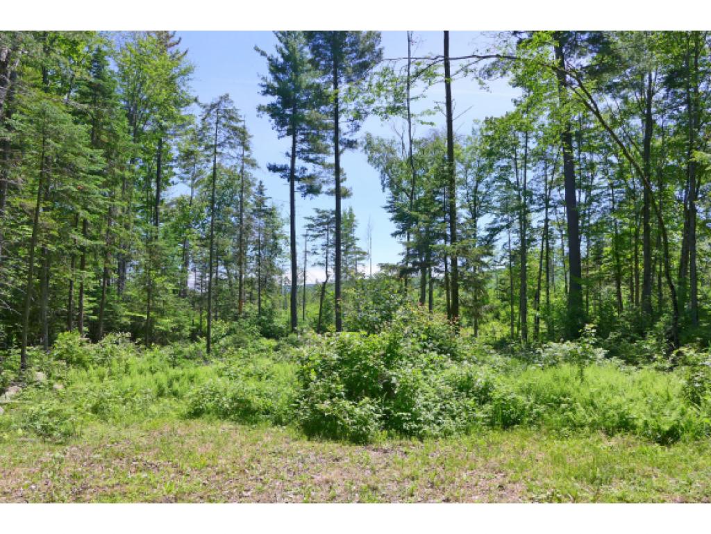 300 Hi Goodwin Road Groton, VT 05046 - Photo 10 of 29 Gallery Image 10