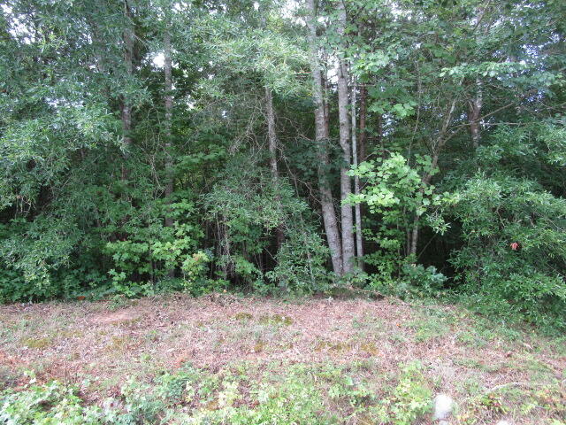 0 Brumfield Road Keeling, VA 24566 - Photo 3 of 7 IMG_3153