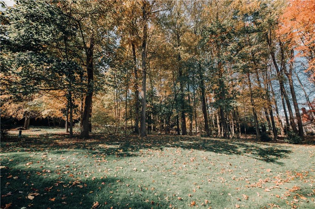 346 Forest Ridge Road Indiana, PA 15701 - Photo 24 of 25 a view of outdoor space with trees