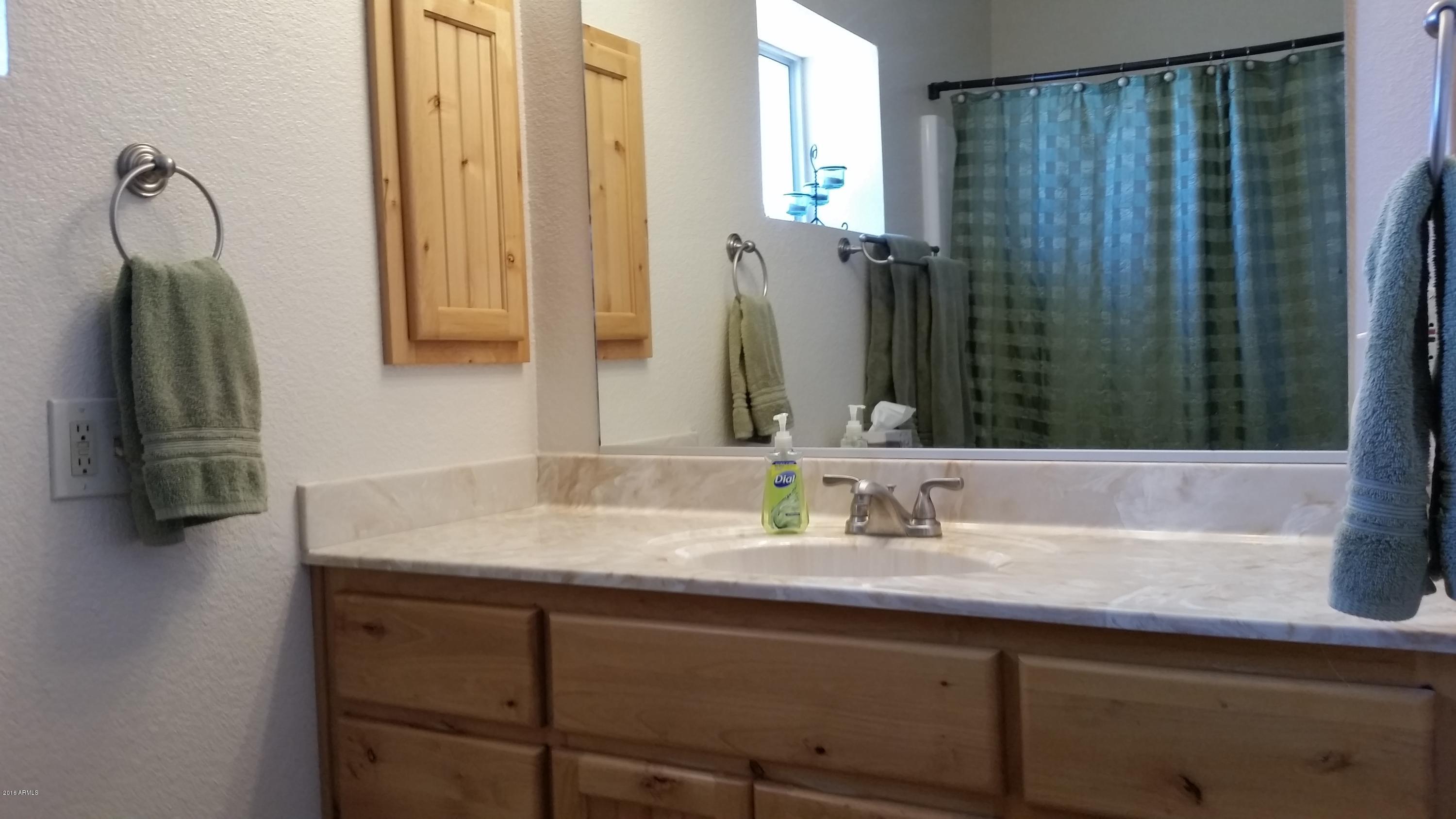 2110 North Sunset Road Apache Junction, AZ 85119 - Photo 14 of 35 master bath