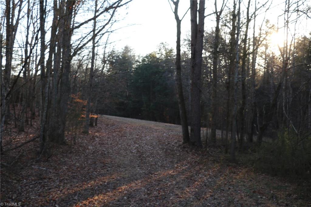 0 Chestnut Grove Road, Unit 10 5 AC King, NC 27021 - Photo 20 of 26