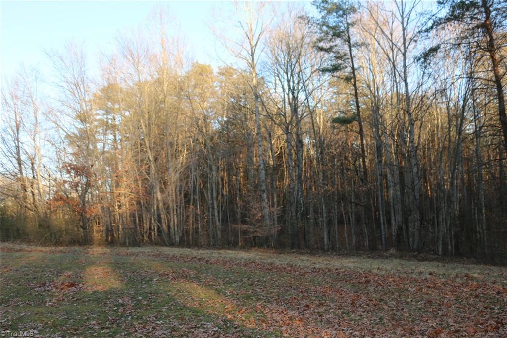 0 Chestnut Grove Road, Unit 10 5 AC King, NC 27021 - Photo 6 of 26