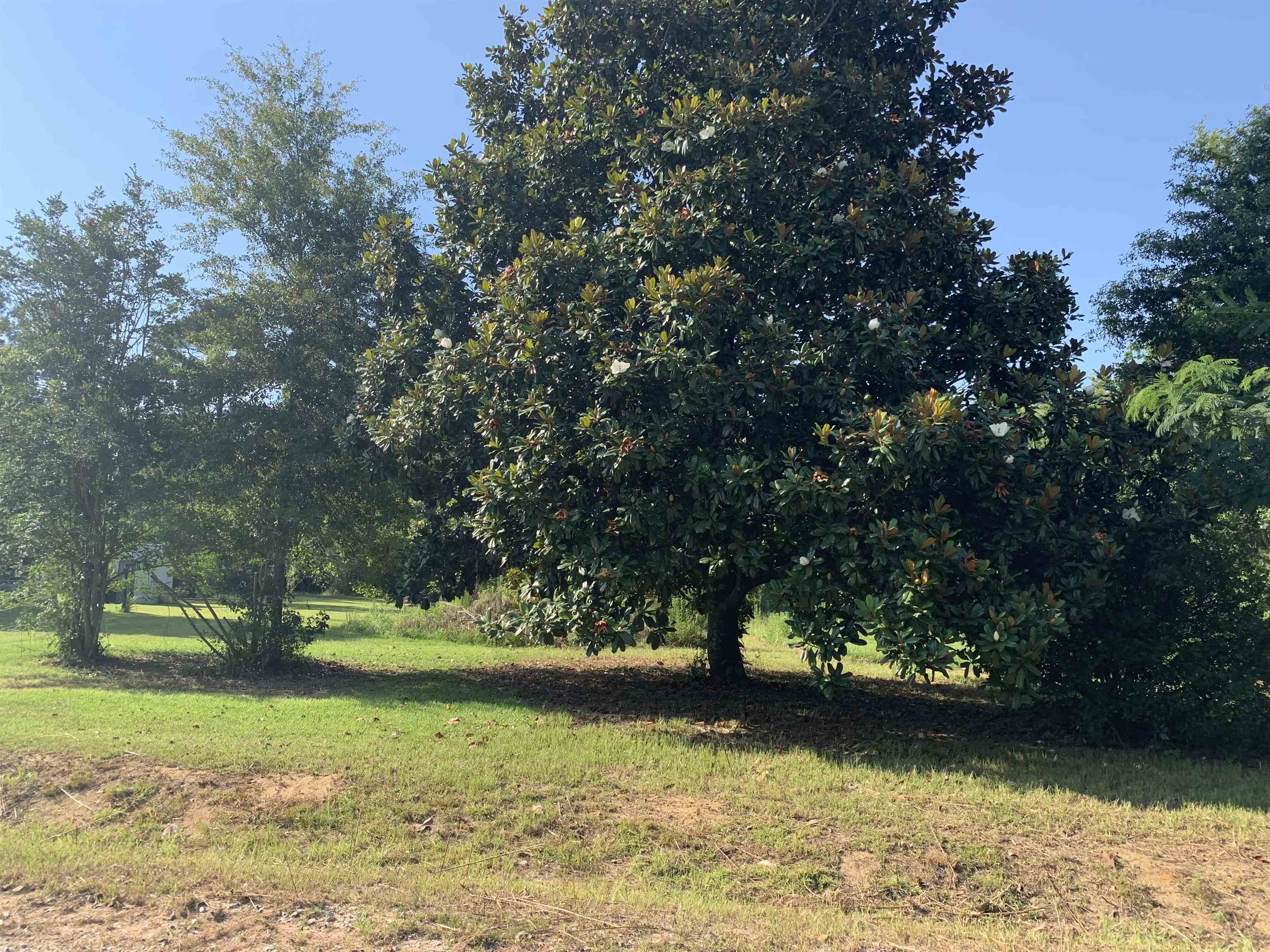 26131 Ponderosa Farm Road East Robertsdale, AL 36567 - Photo 4 of 5