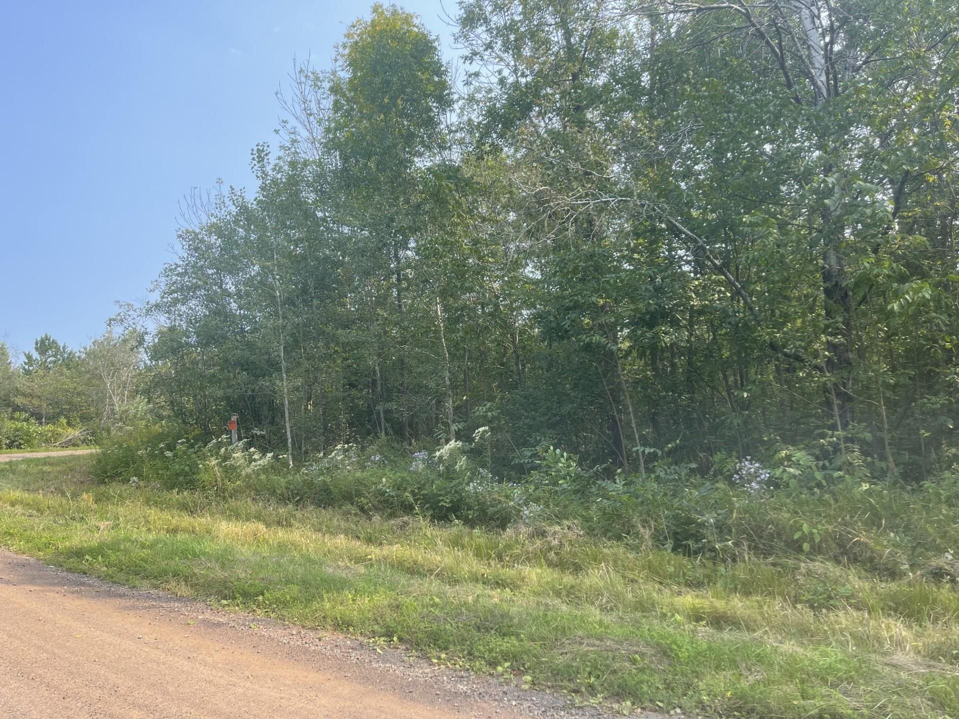 0 Mack Road Ashland, WI 54806 - Photo 1 of 2 View of street