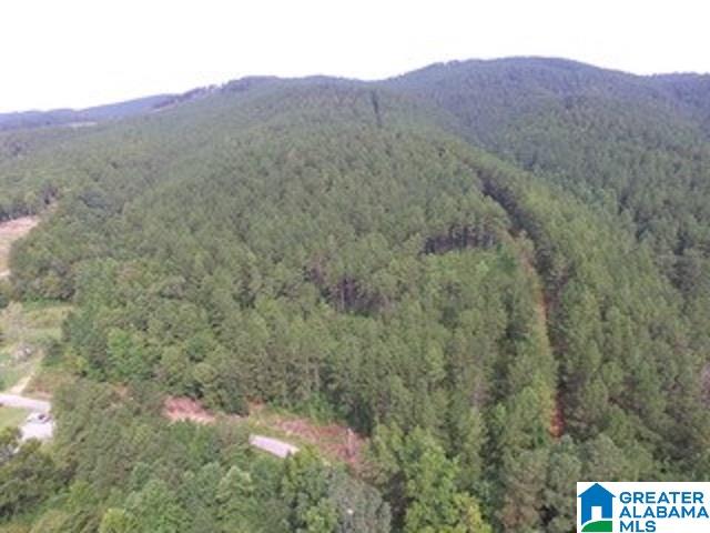 1980 Dripping Rock Road, Unit 20 50 AC Piedmont, AL 36272 - Photo 3 of 19