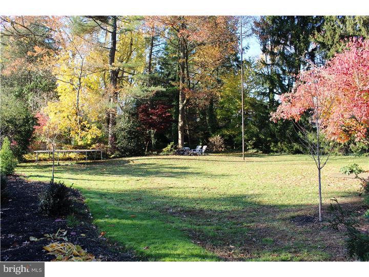 312 Maple Avenue Swarthmore, PA 19081 - Photo 24 of 25 Back Yard