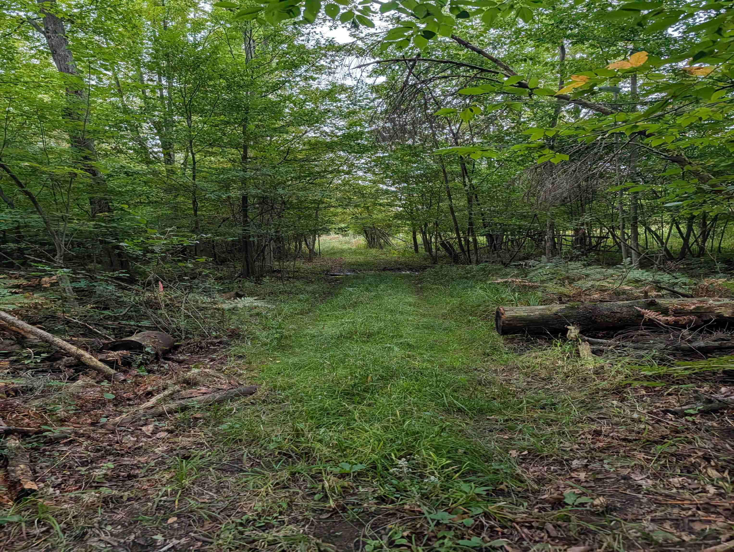 N/a West Huron Road Omer, MI 48749 - Photo 15 of 23 1950587-5c6eb797-e1fb-444a-8590-2a463f5e71c9.JPG