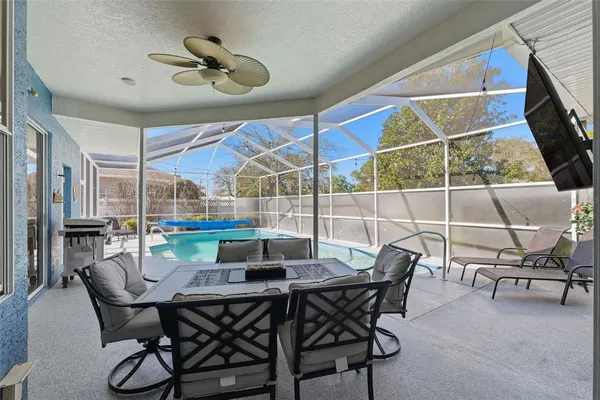 a view of a backyard with potted plants