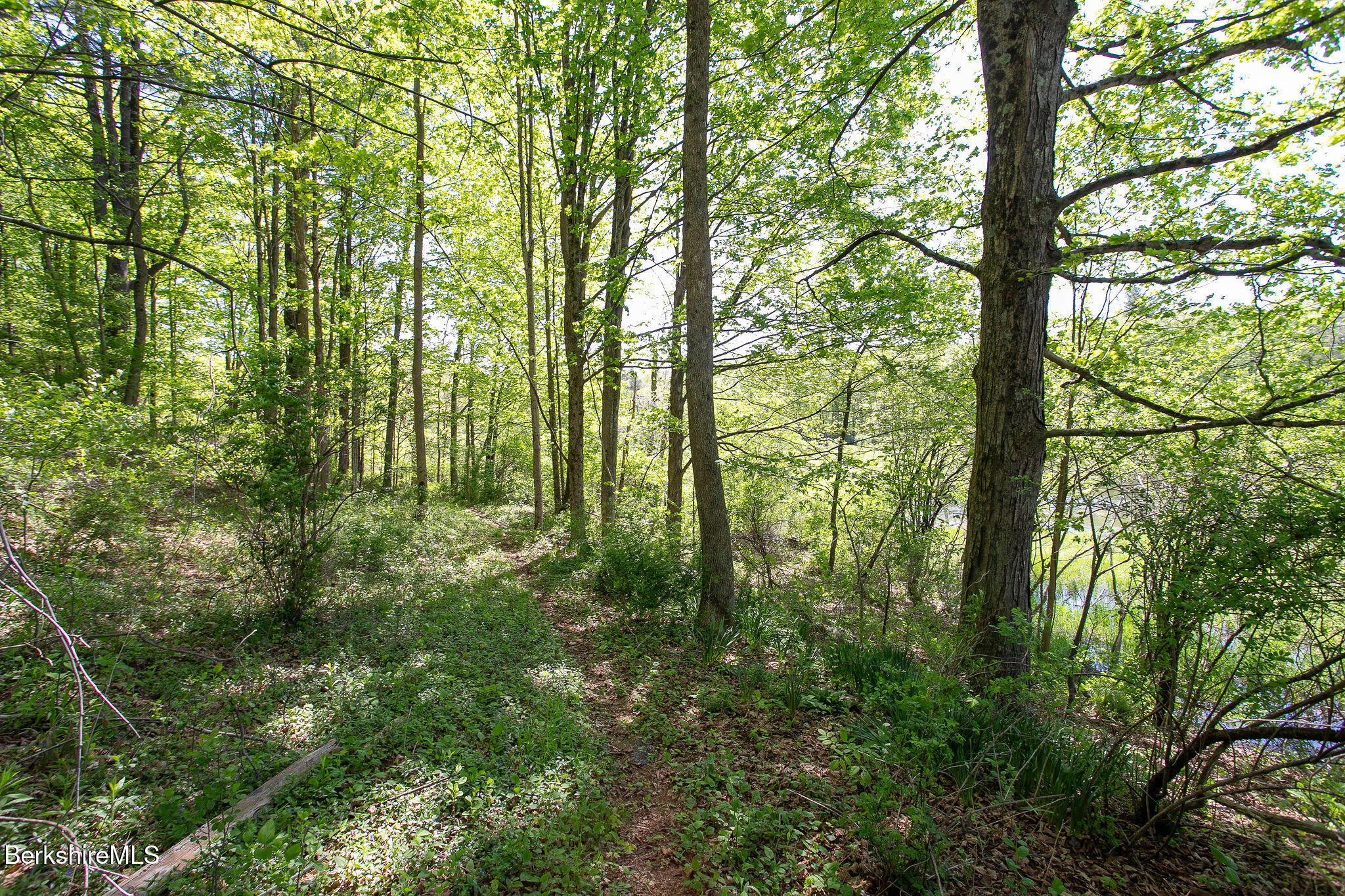 279 Great Barrington Road West Stockbridge, MA 01236 - Photo 62 of 74 path along the whole river frontage