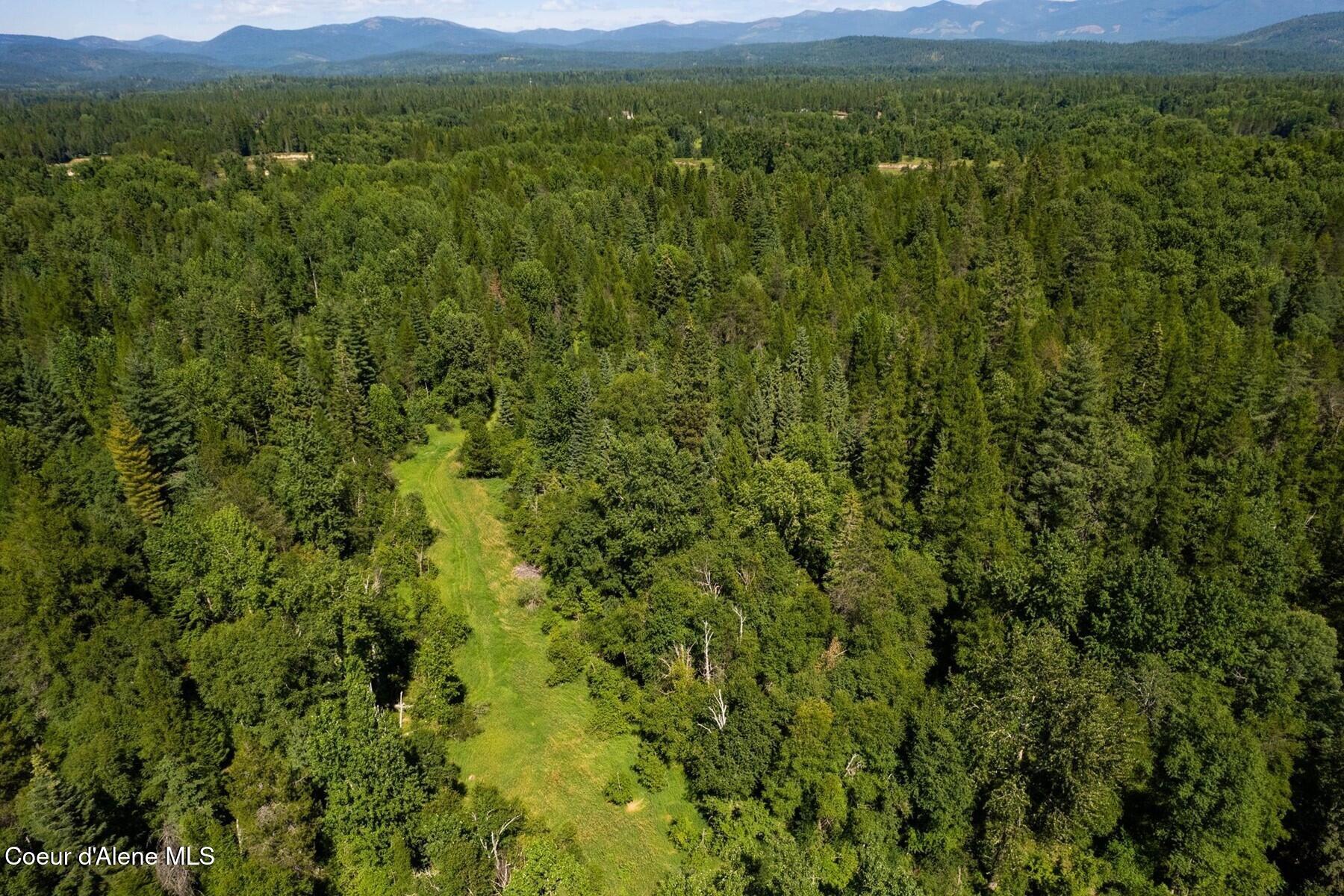 1521 Selkirk Road Sandpoint, ID 83864 - Photo 6 of 14 Prime Selle Valley Acreage