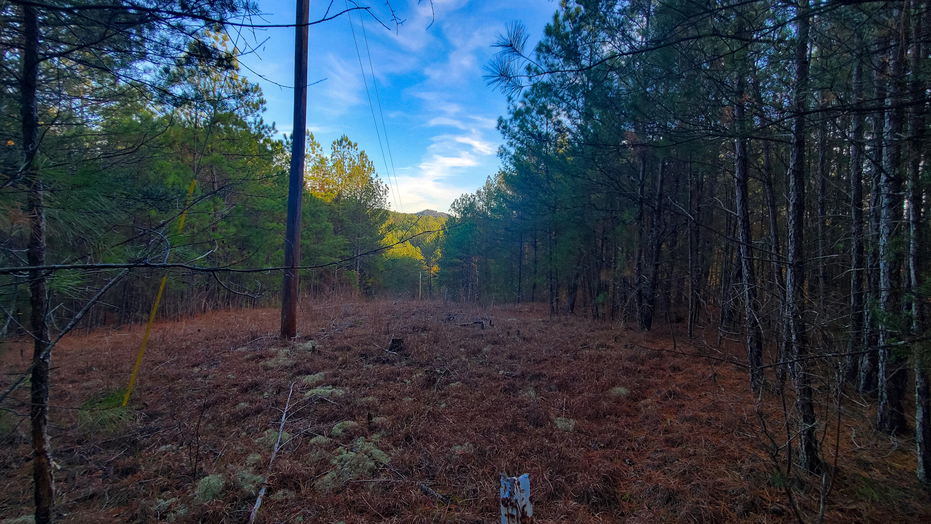 5.64 Stansbury Mountain Road Copperhill, TN 37317 - Photo 12 of 43 Cooperhill Tn-12