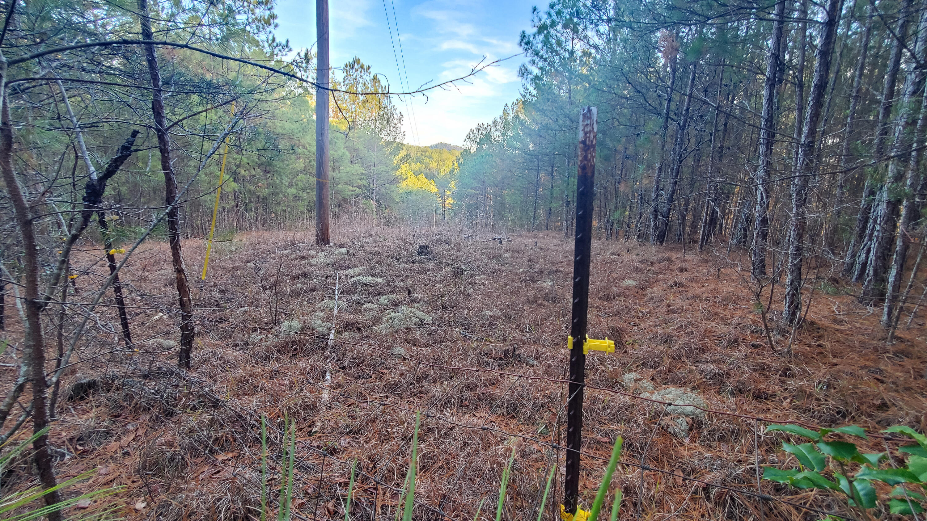 5.64 Stansbury Mountain Road Copperhill, TN 37317 - Photo 13 of 43 Cooperhill Tn-13