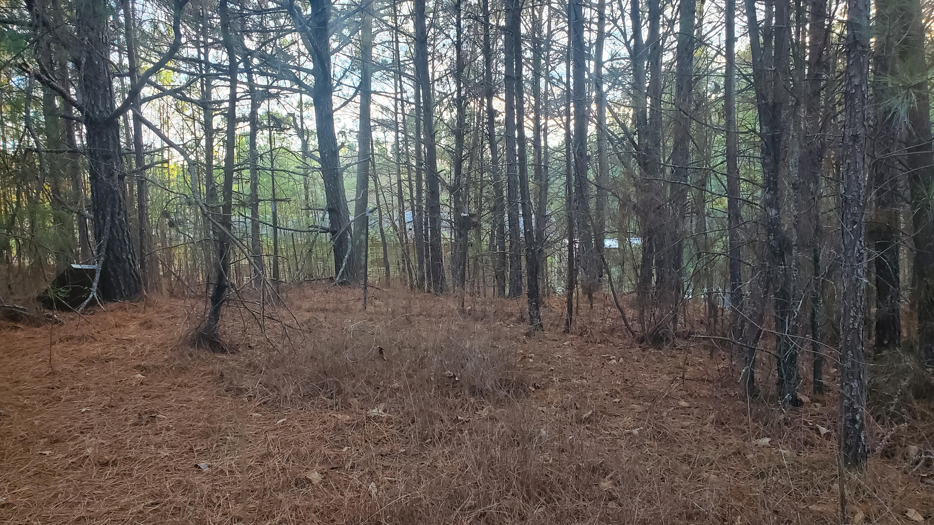 5.64 Stansbury Mountain Road Copperhill, TN 37317 - Photo 14 of 43 Cooperhill Tn-14