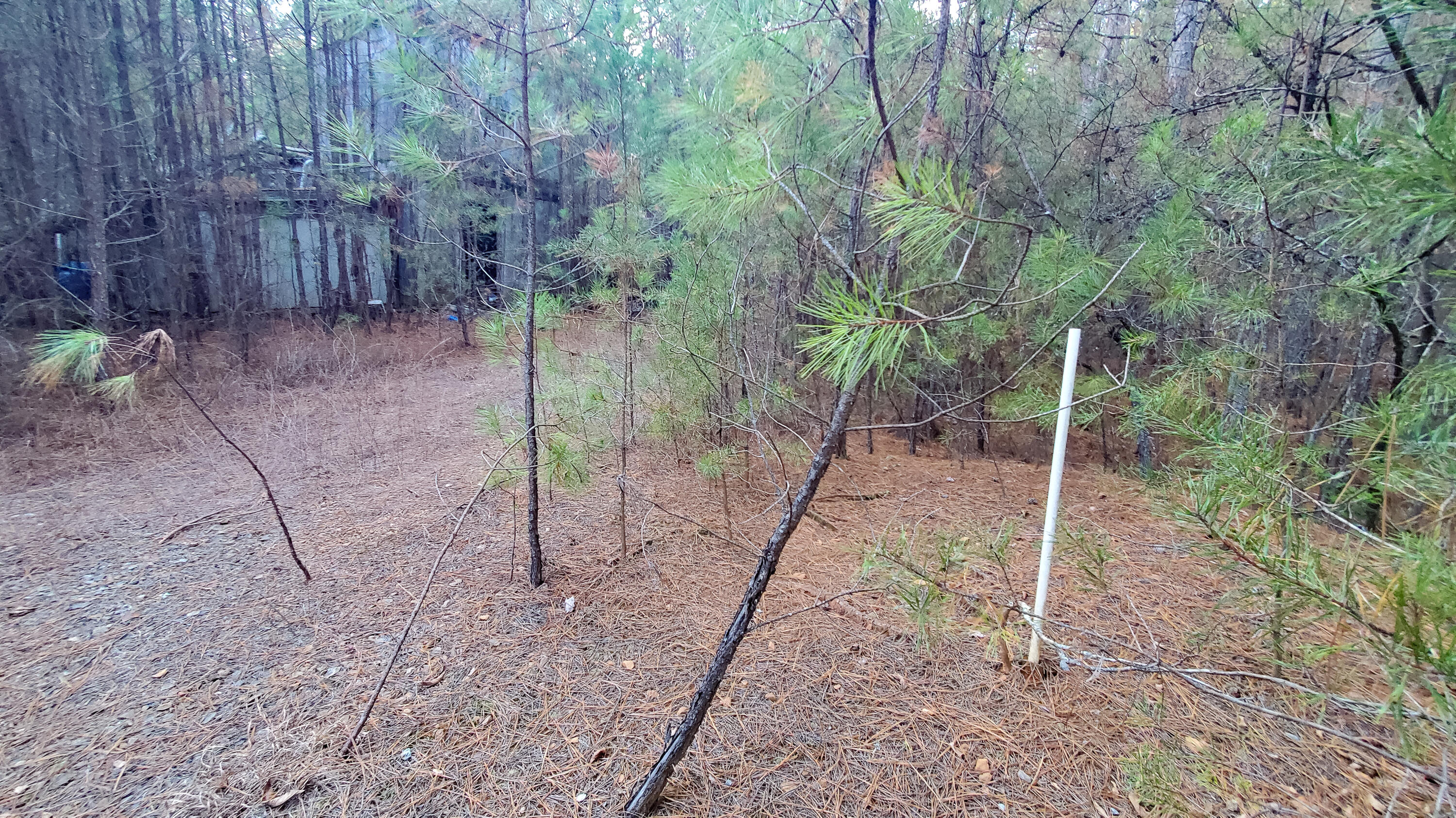 5.64 Stansbury Mountain Road Copperhill, TN 37317 - Photo 18 of 43 Cooperhill Tn-18