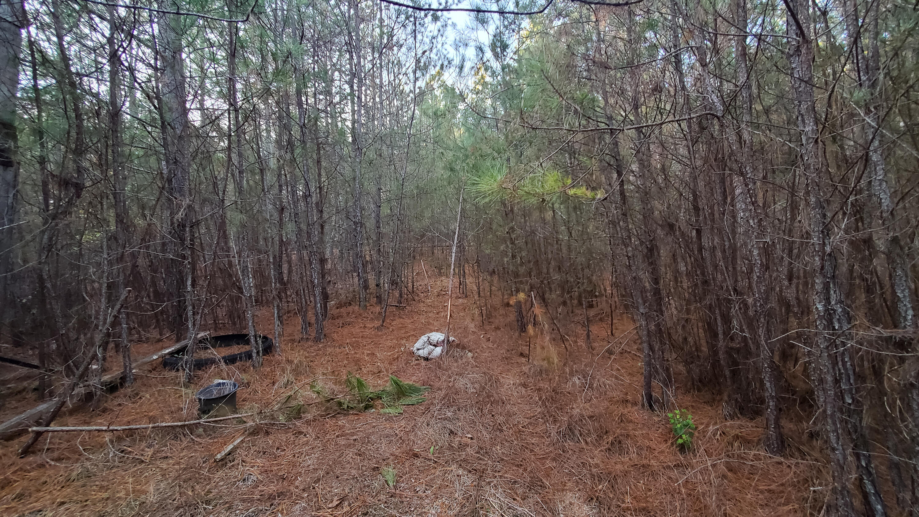 5.64 Stansbury Mountain Road Copperhill, TN 37317 - Photo 20 of 43 Cooperhill Tn-20