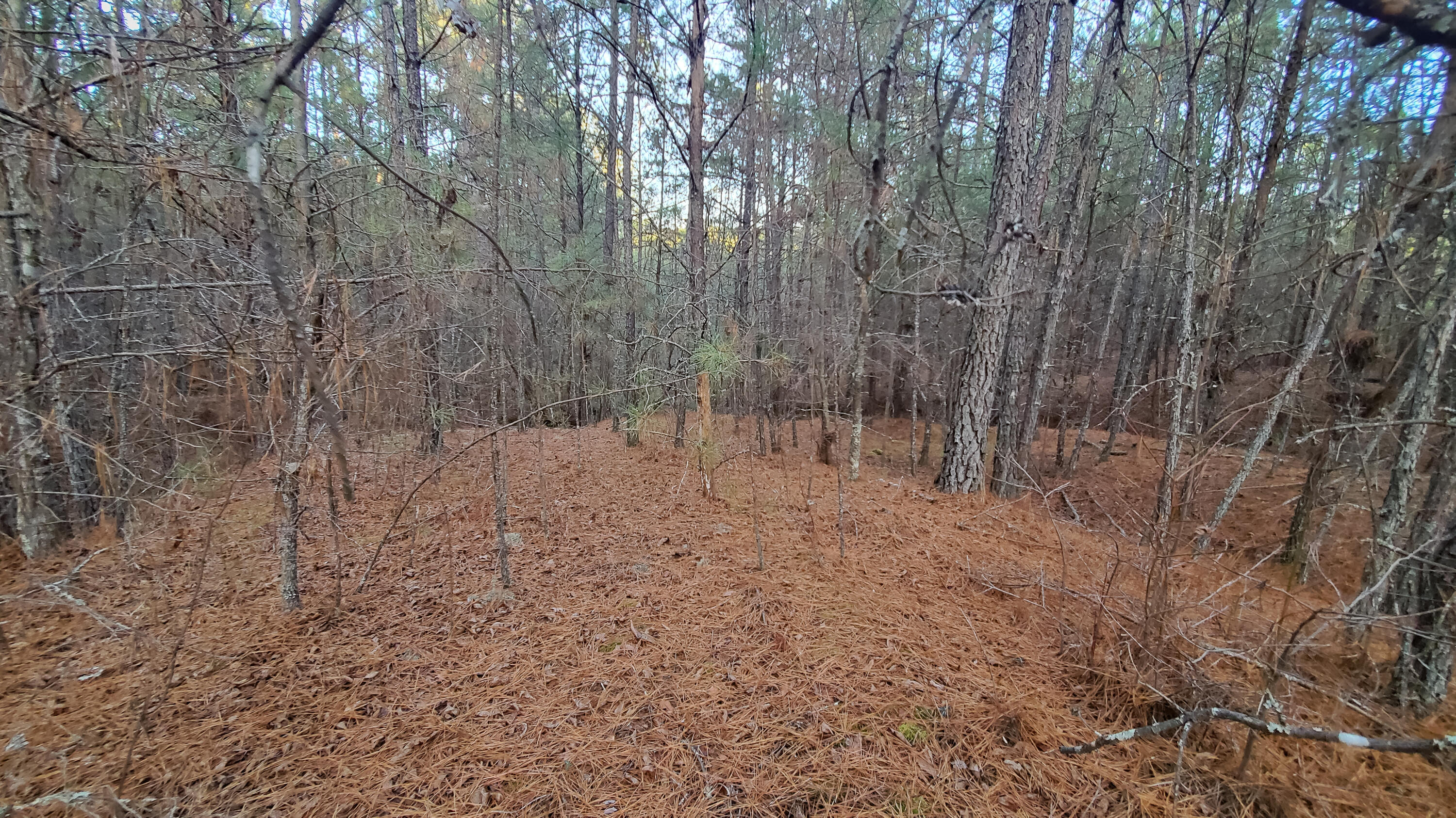 5.64 Stansbury Mountain Road Copperhill, TN 37317 - Photo 22 of 43 Cooperhill Tn-22