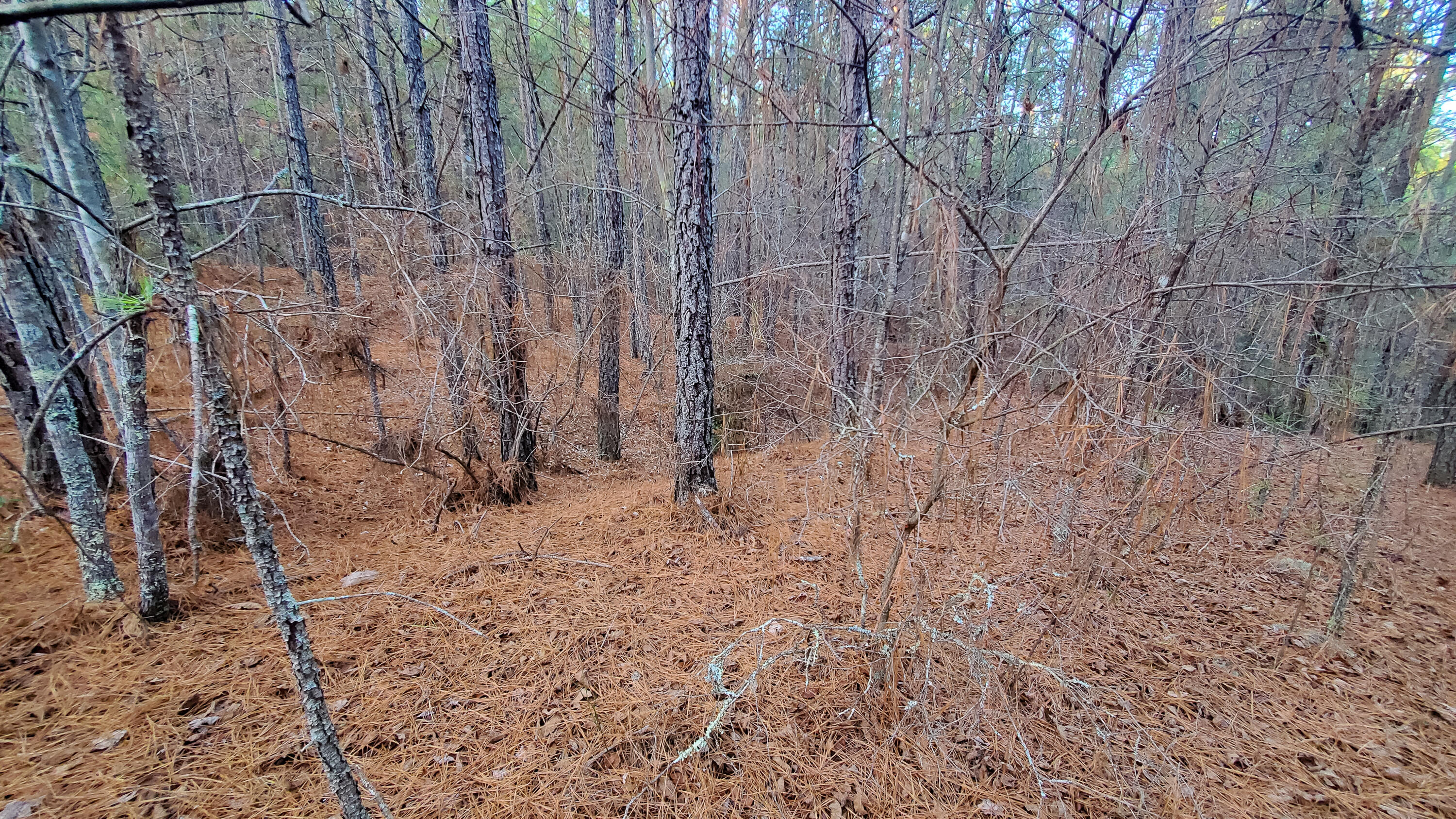 5.64 Stansbury Mountain Road Copperhill, TN 37317 - Photo 23 of 43 Cooperhill Tn-23