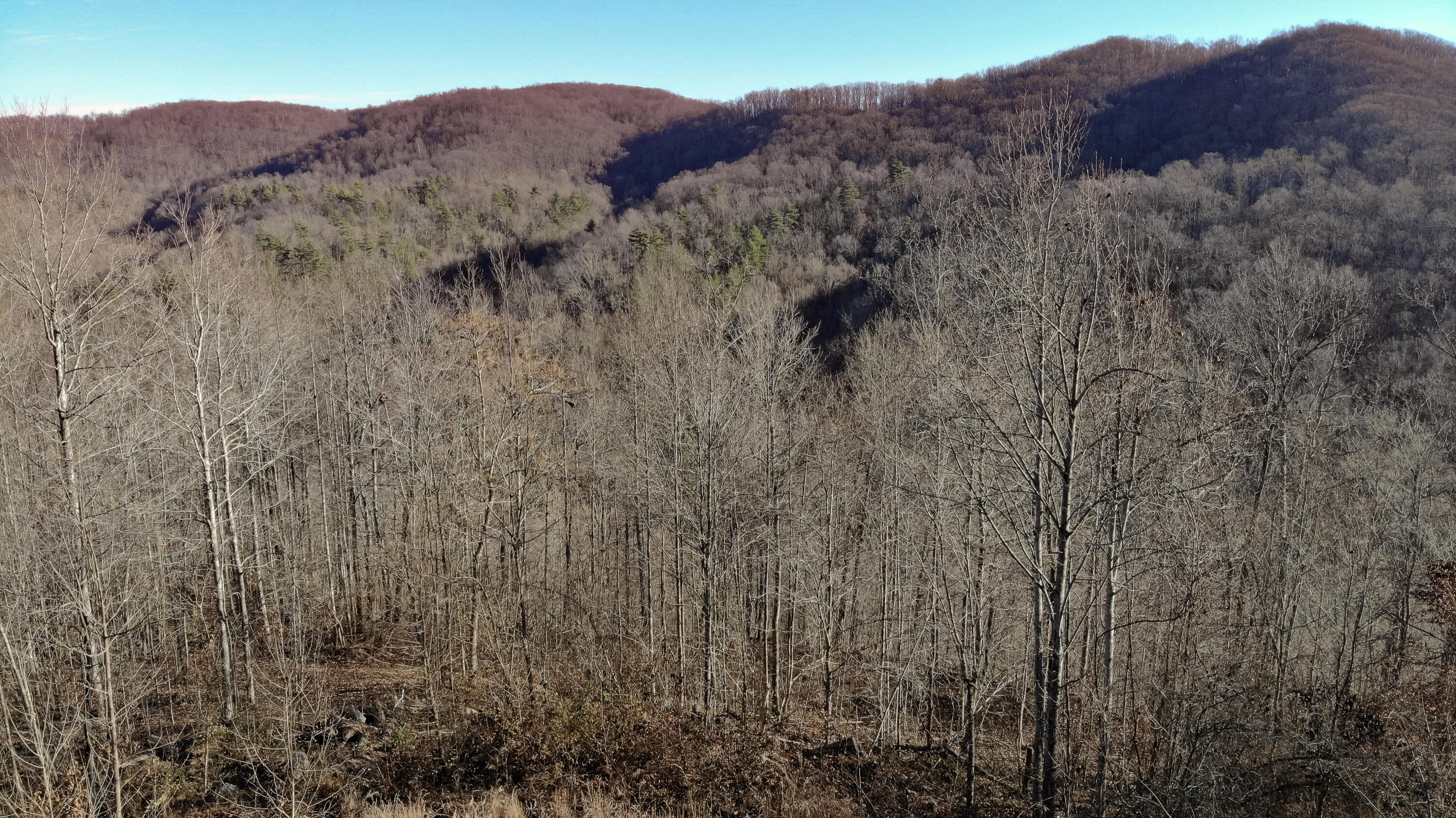 5.64 Stansbury Mountain Road Copperhill, TN 37317 - Photo 27 of 43 Cooperhill Tn-27