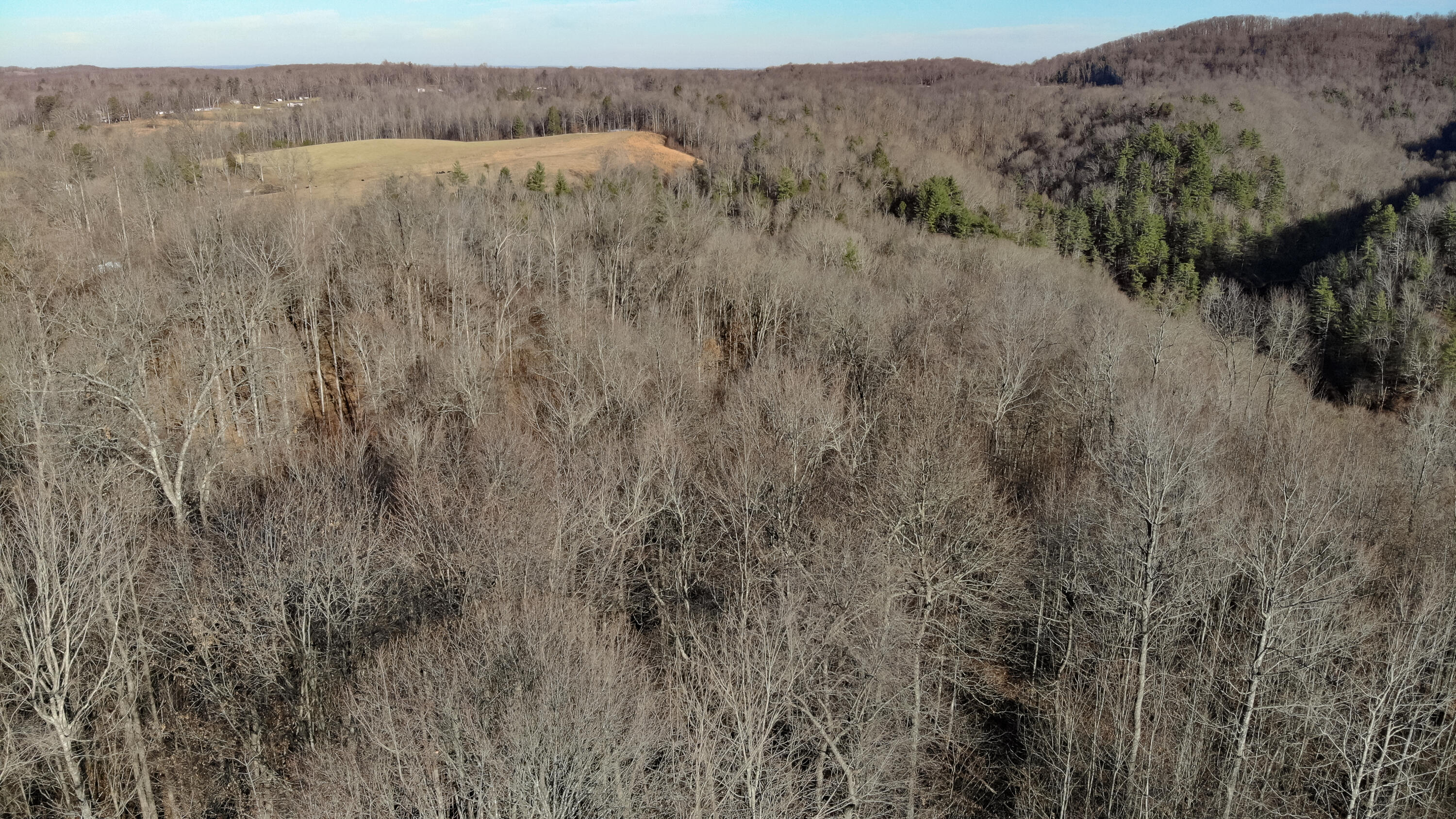 5.64 Stansbury Mountain Road Copperhill, TN 37317 - Photo 28 of 43 Cooperhill Tn-28