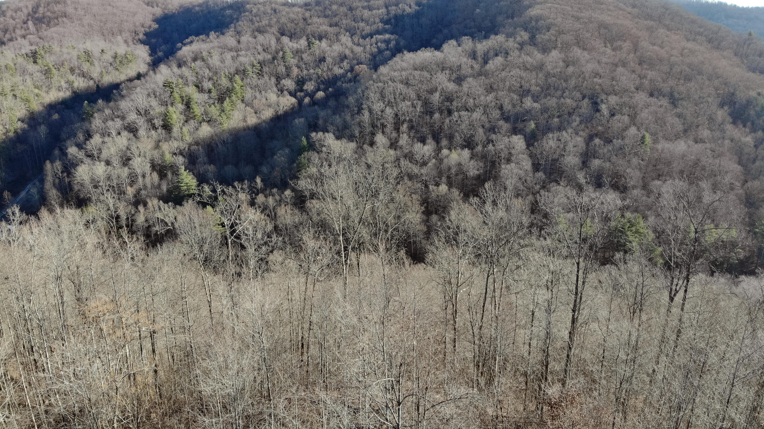 5.64 Stansbury Mountain Road Copperhill, TN 37317 - Photo 29 of 43 Cooperhill Tn-29