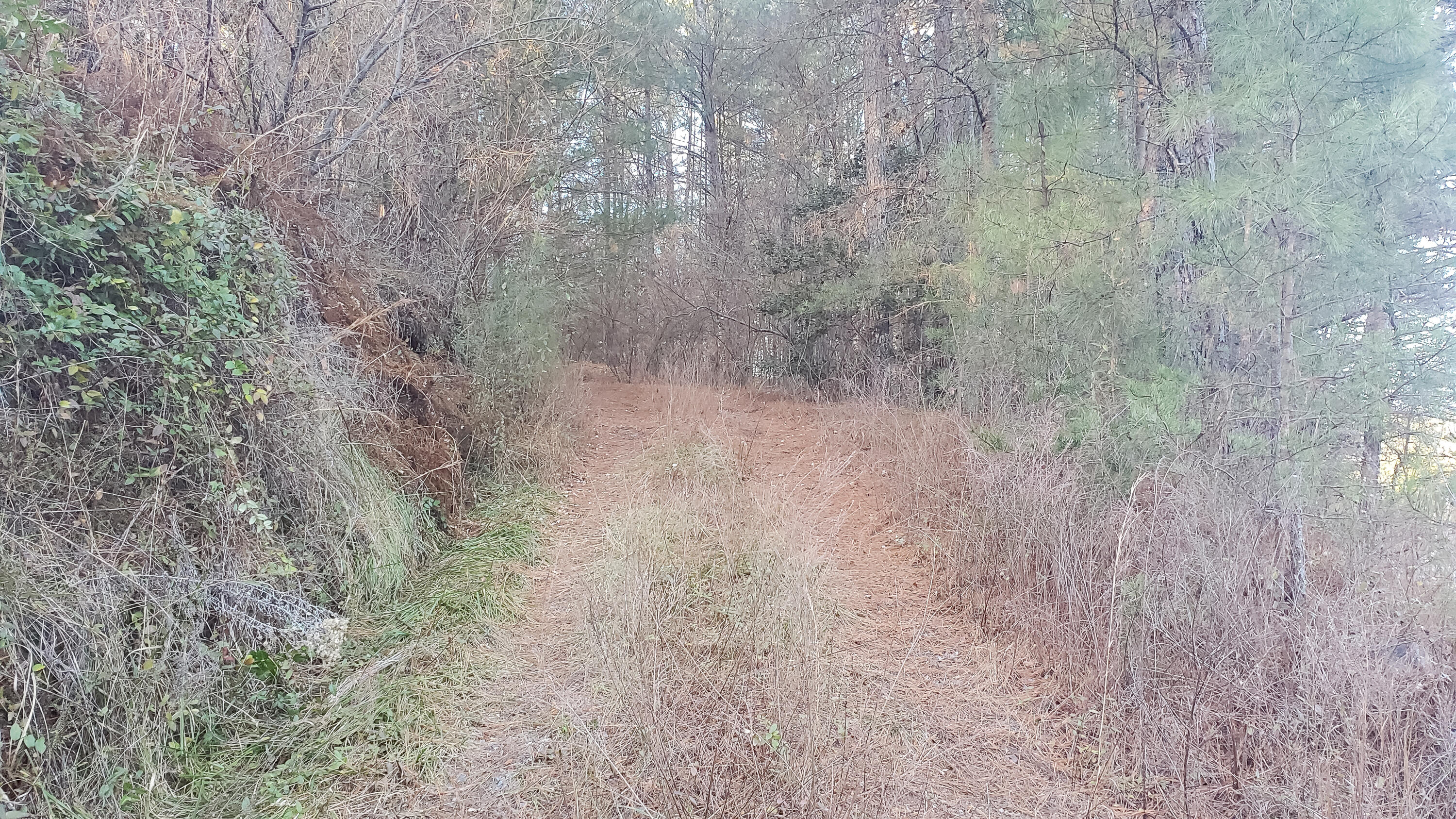 5.64 Stansbury Mountain Road Copperhill, TN 37317 - Photo 3 of 43 Cooperhill Tn-3