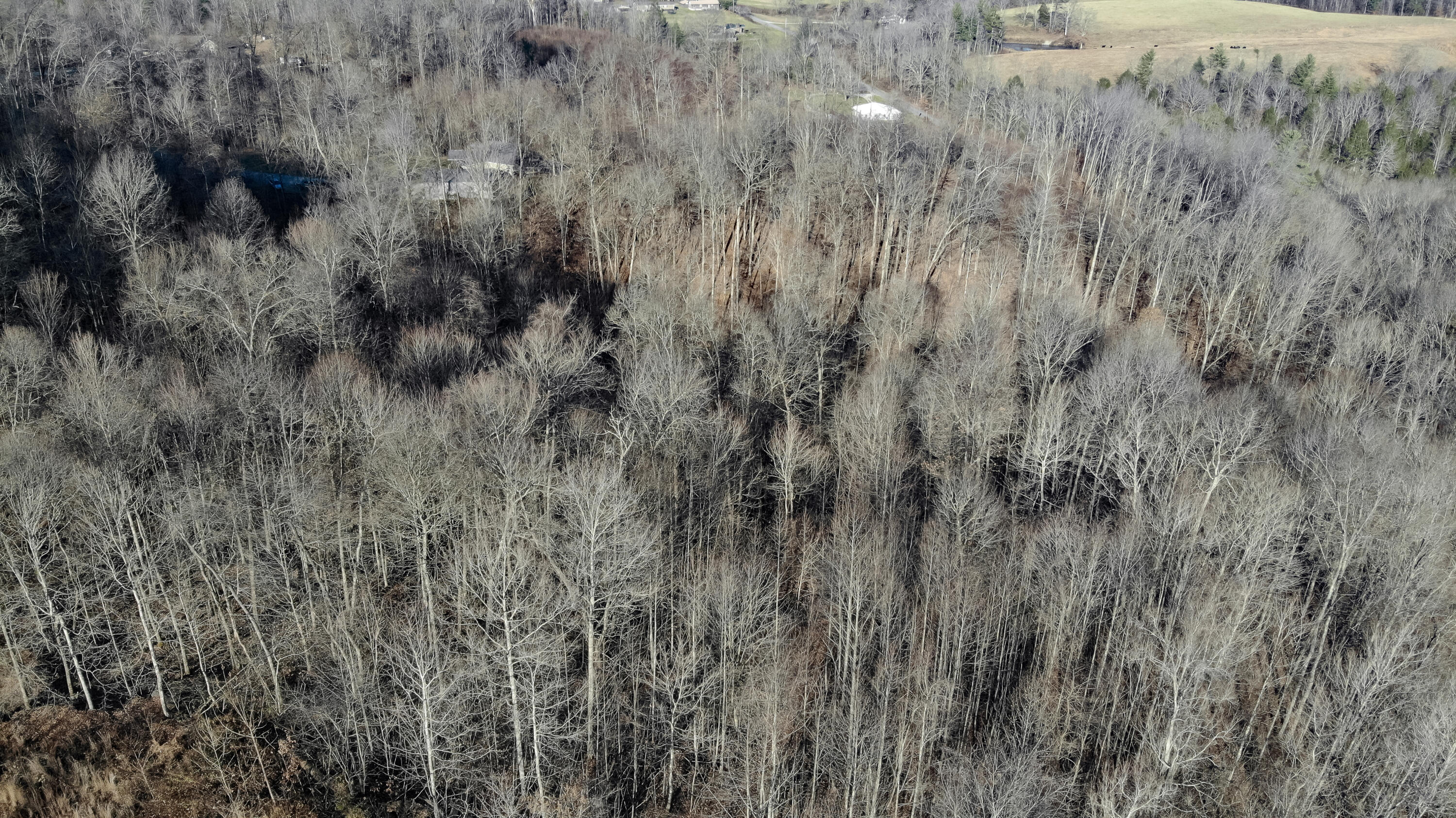 5.64 Stansbury Mountain Road Copperhill, TN 37317 - Photo 32 of 43 Cooperhill Tn-32