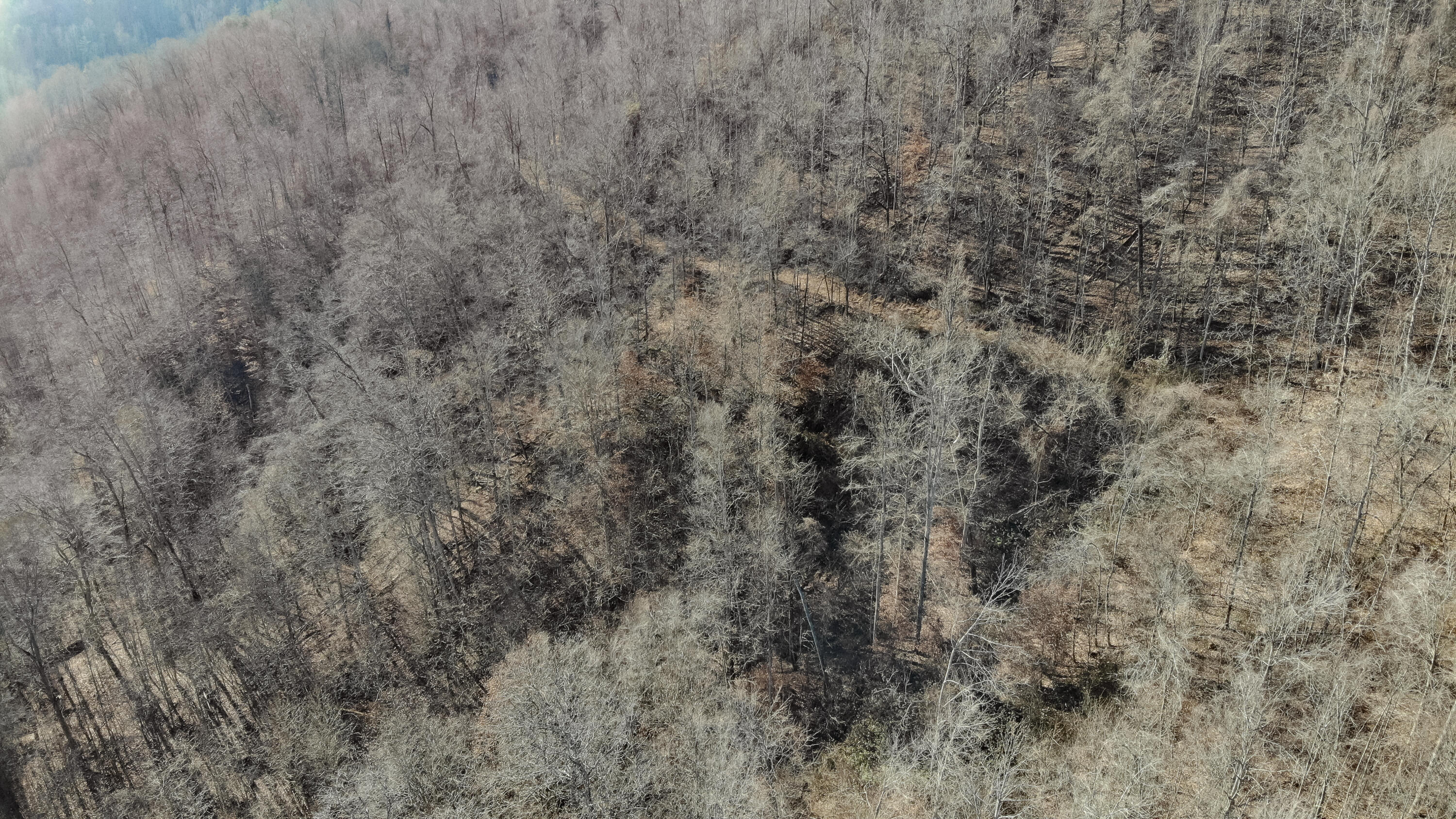 5.64 Stansbury Mountain Road Copperhill, TN 37317 - Photo 33 of 43 Cooperhill Tn-33