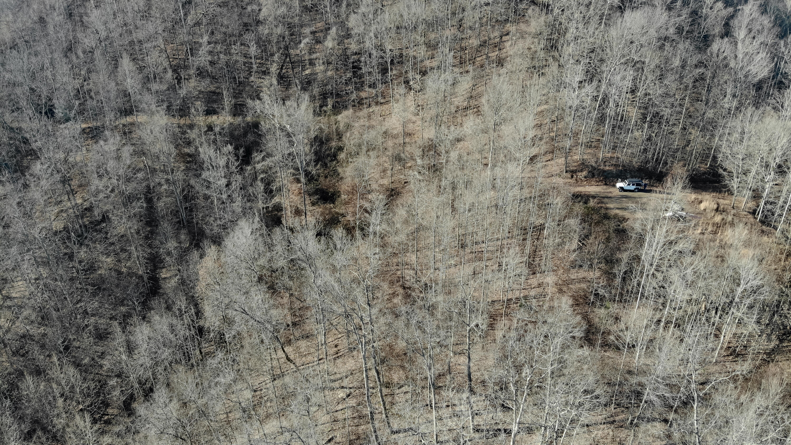 5.64 Stansbury Mountain Road Copperhill, TN 37317 - Photo 36 of 43 Cooperhill Tn-36