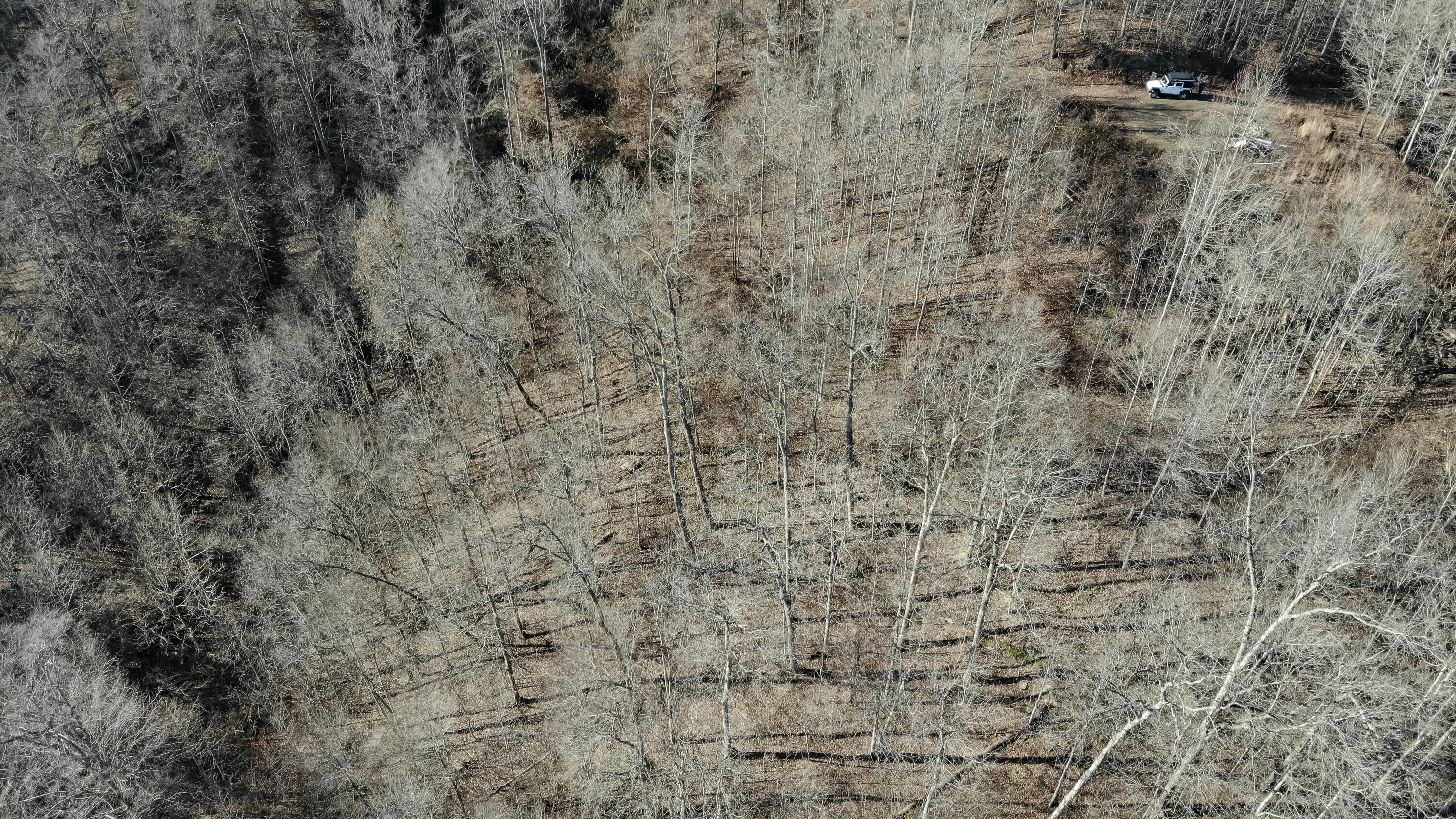 5.64 Stansbury Mountain Road Copperhill, TN 37317 - Photo 37 of 43 Cooperhill Tn-37