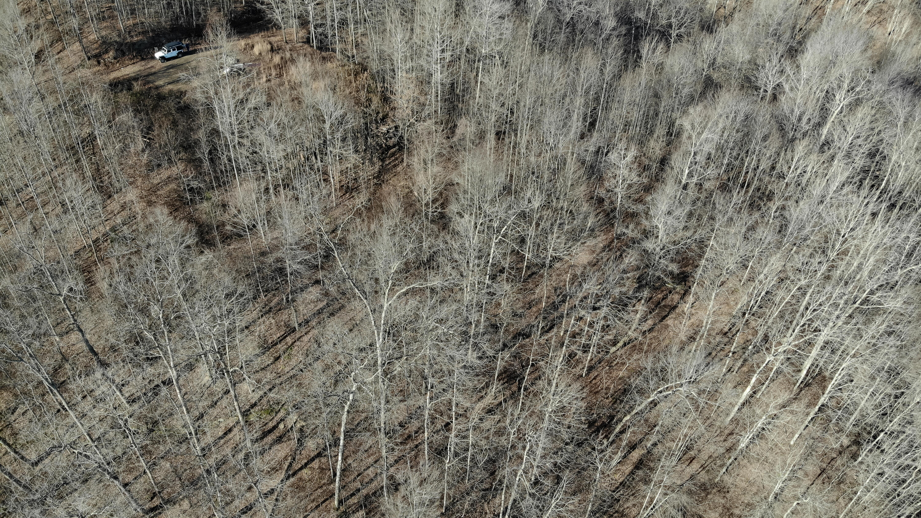 5.64 Stansbury Mountain Road Copperhill, TN 37317 - Photo 38 of 43 Cooperhill Tn-38